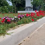 Almeree * Kato Almiri